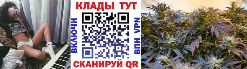 Как найти наркотики Отрадное Alpha PVP АМФ ГАШИШ Канабис blacksprut сайт Меф