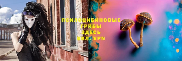 стаф Абинск