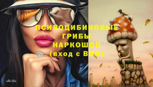 спиды Абаза