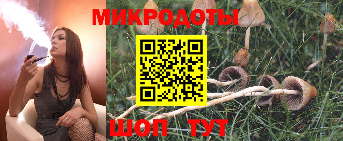 Галлюциногенные грибы Psilocybine cubensis Отрадное