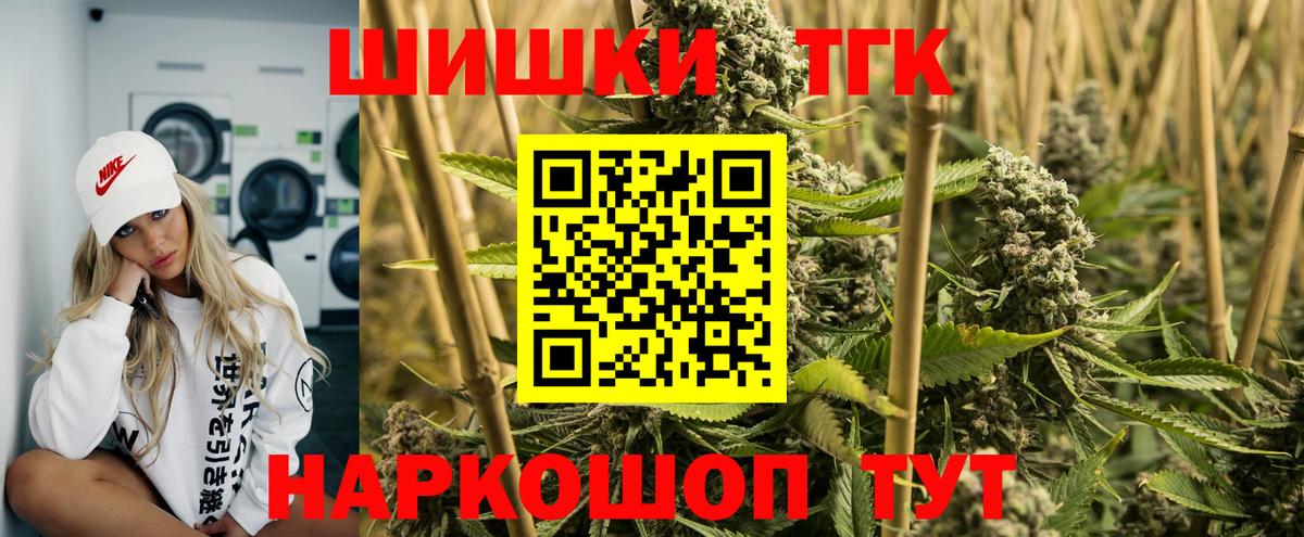 Конопля сатива Отрадное